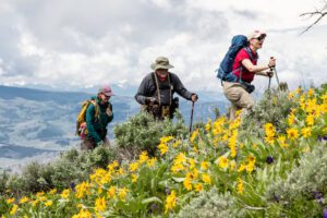 visit Yellowstone