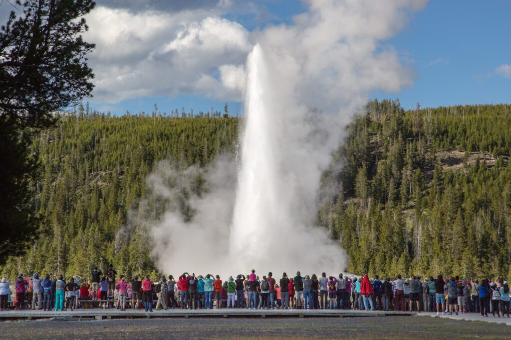 Early summer crowd at Old Faithful, a location visited on this Yellowstone Geyser Tour.