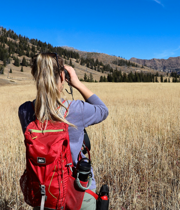 Yellowstone tours